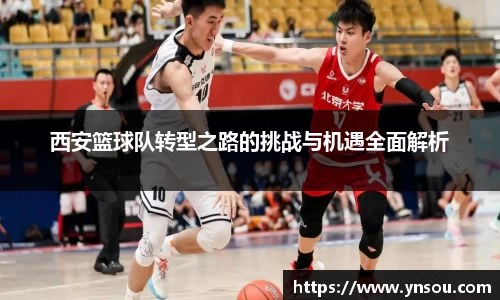 西安篮球队转型之路的挑战与机遇全面解析