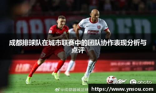 成都排球队在城市联赛中的团队协作表现分析与点评